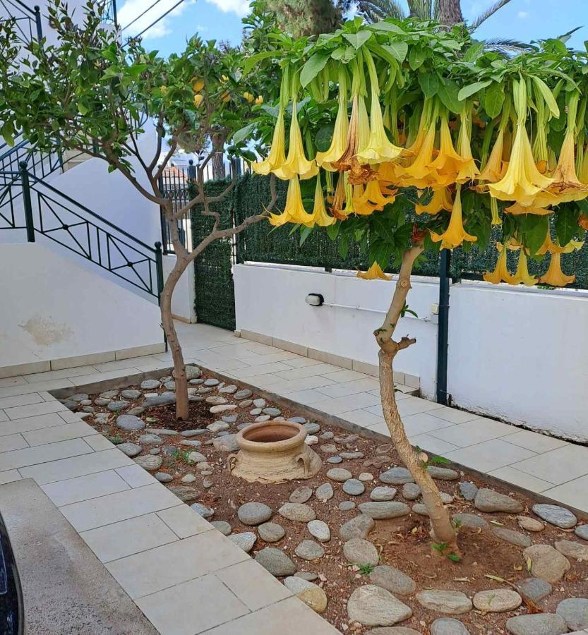 Dimitris Place Near Athens Airport Koropi Zewnętrze zdjęcie