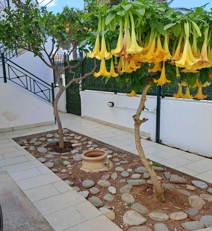Dimitris Place Near Athens Airport Koropi Zewnętrze zdjęcie