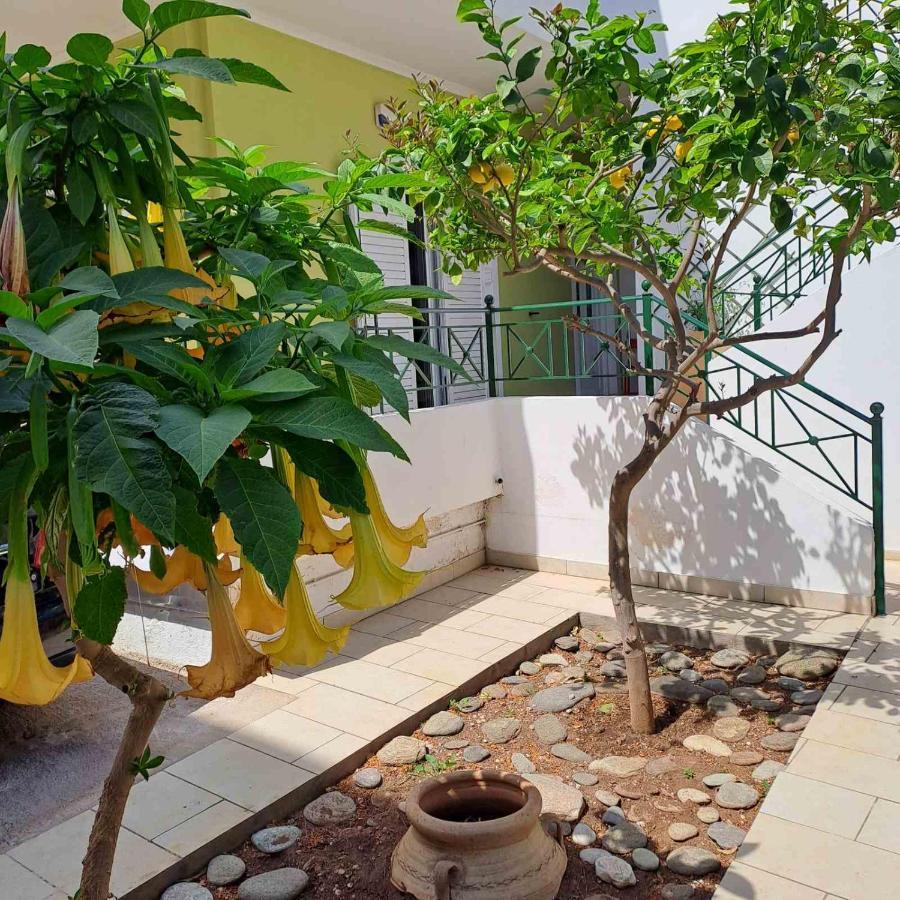 Dimitris Place Near Athens Airport Koropi Zewnętrze zdjęcie